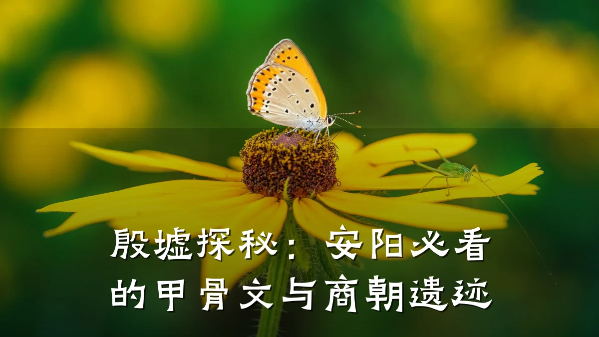 殷墟探秘:安阳必看的甲骨文与商朝遗迹