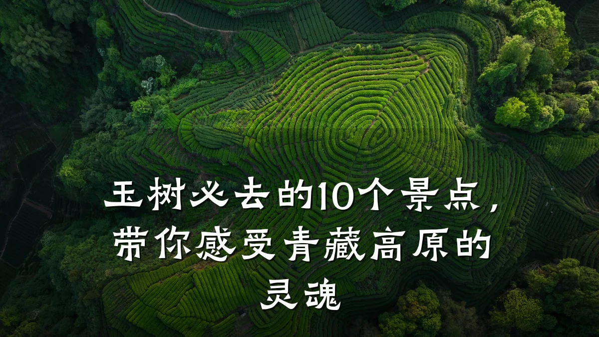 玉树必去的10个景点，带你感受青藏高原的灵魂