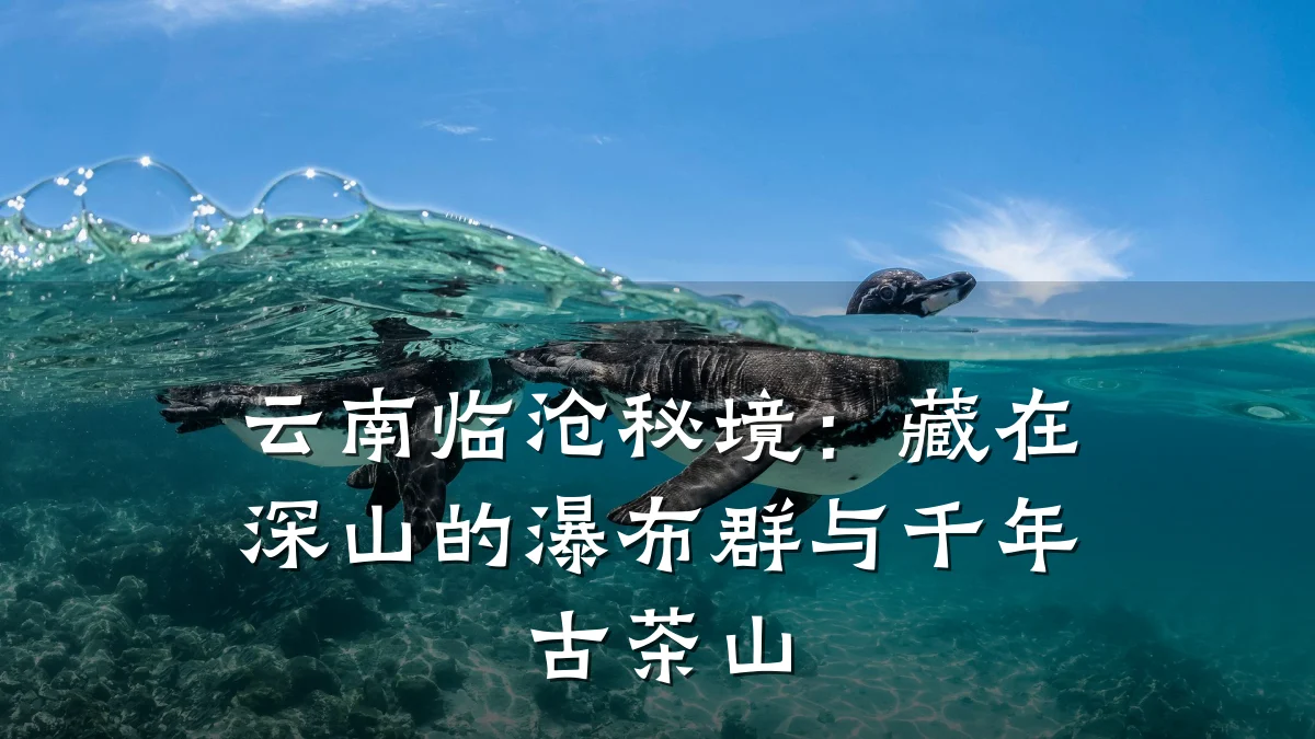 云南临沧秘境:藏在深山的瀑布群与千年古茶山