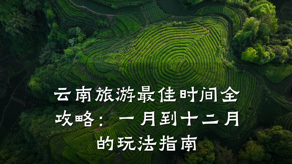 云南旅游最佳时间全攻略:一月到十二月的玩法指南