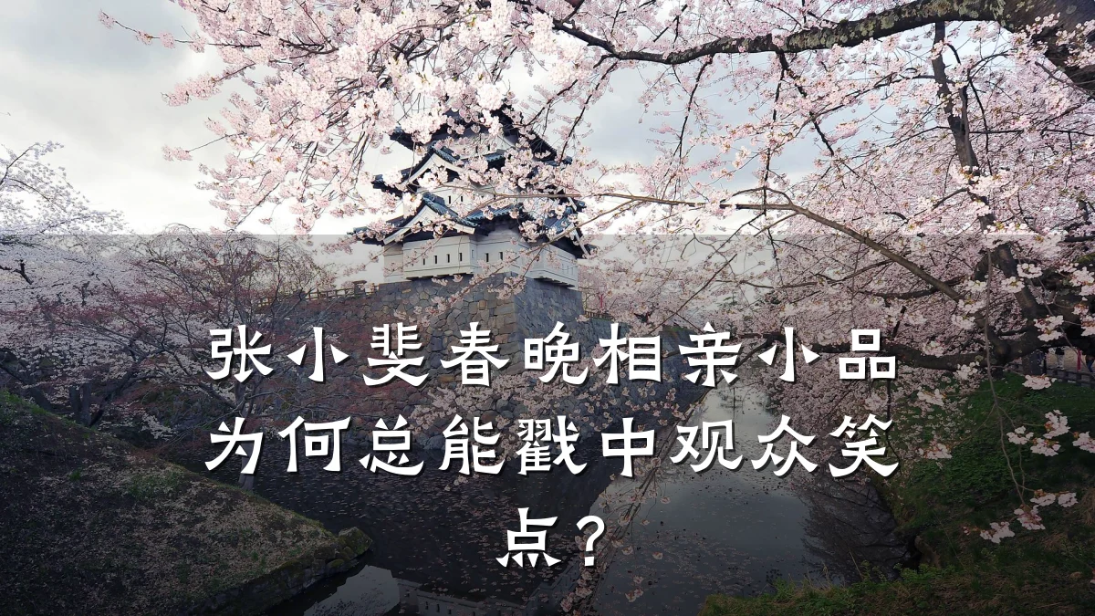 张小斐春晚相亲小品为何总能戳中观众笑点？