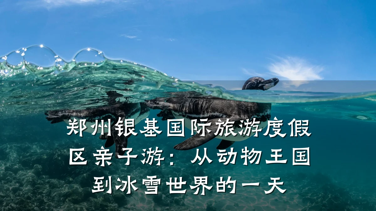 郑州银基国际旅游度假区亲子游:从动物王国到冰雪世界的一天