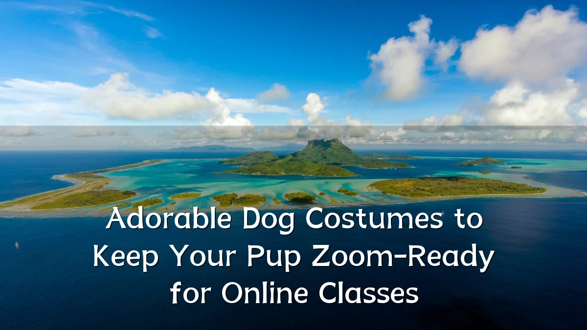 Adorable Dog Costumes to Keep Your Pup Zoom-Ready for Online Classes