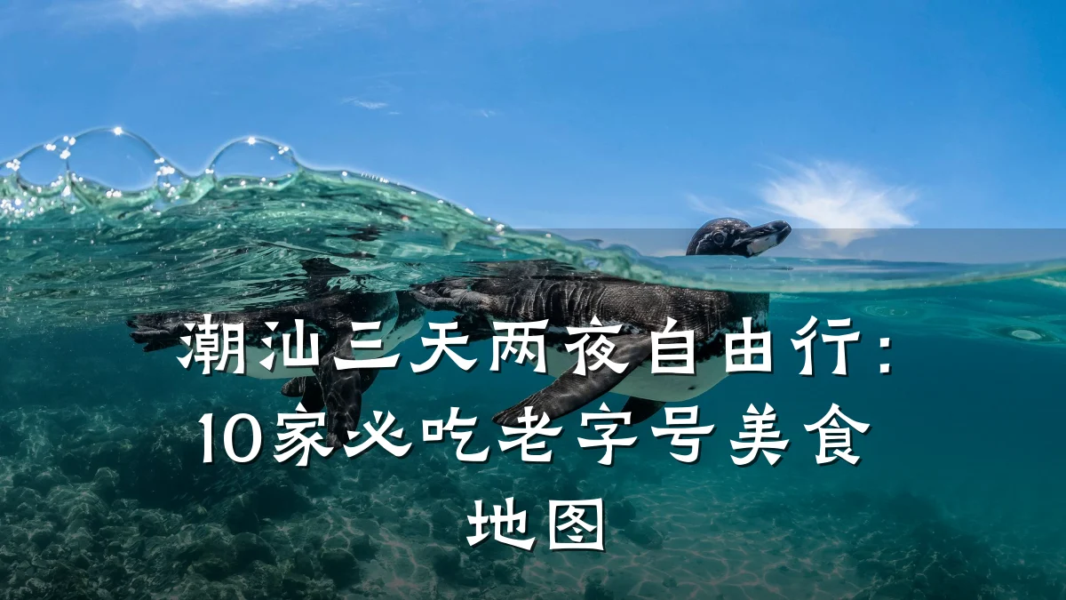 潮汕三天两夜自由行:10家必吃老字号美食地图