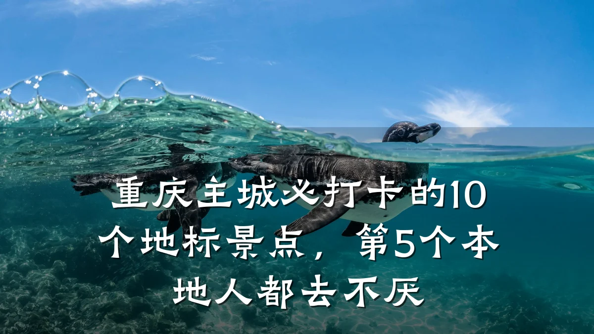 重庆主城必打卡的10个地标景点,第5个本地人都去不厌