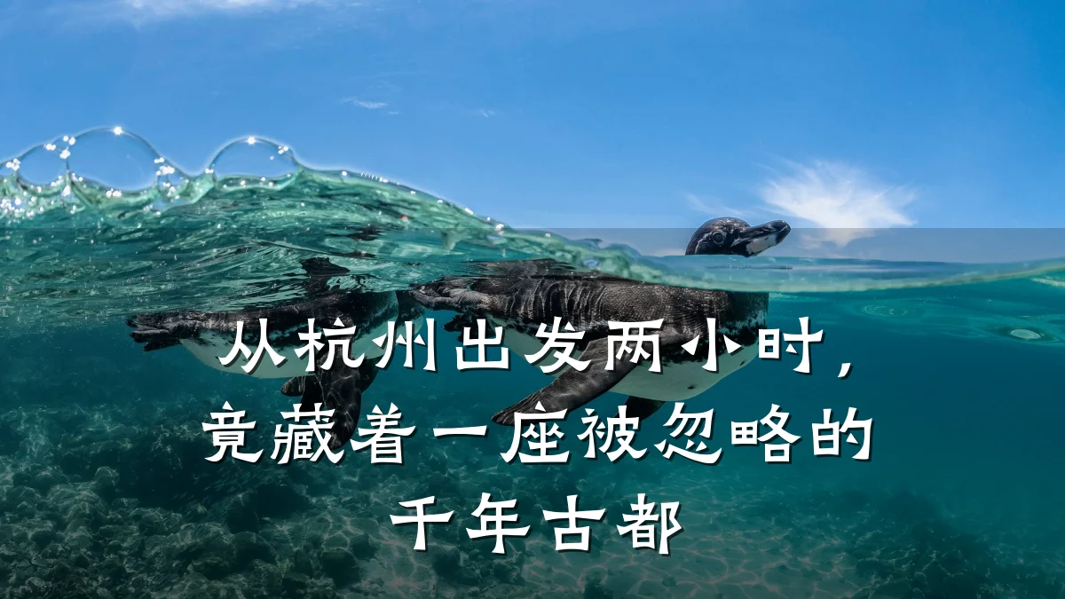 从杭州出发两小时,竟藏着一座被忽略的千年古都