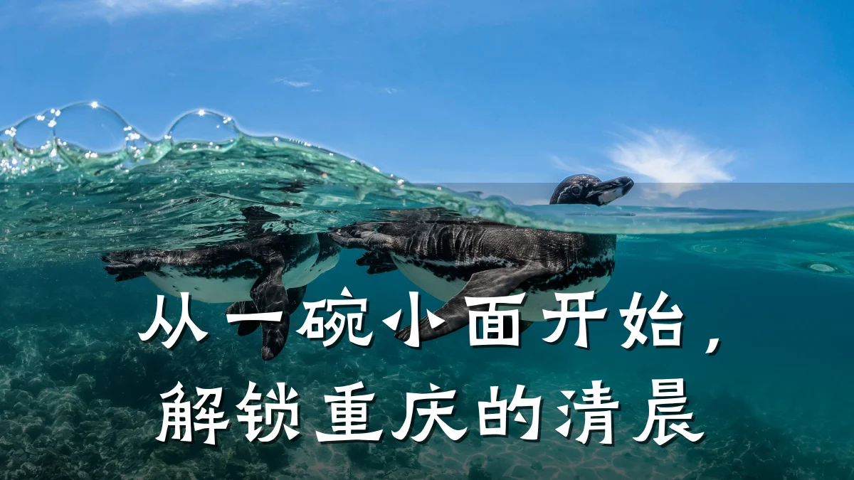从一碗小面开始，解锁重庆的清晨
