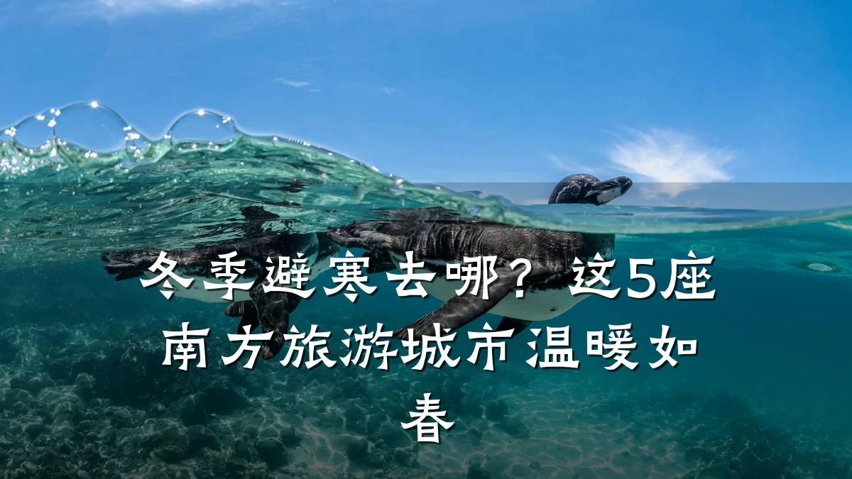 冬季避寒去哪?这5座南方旅游城市温暖如春