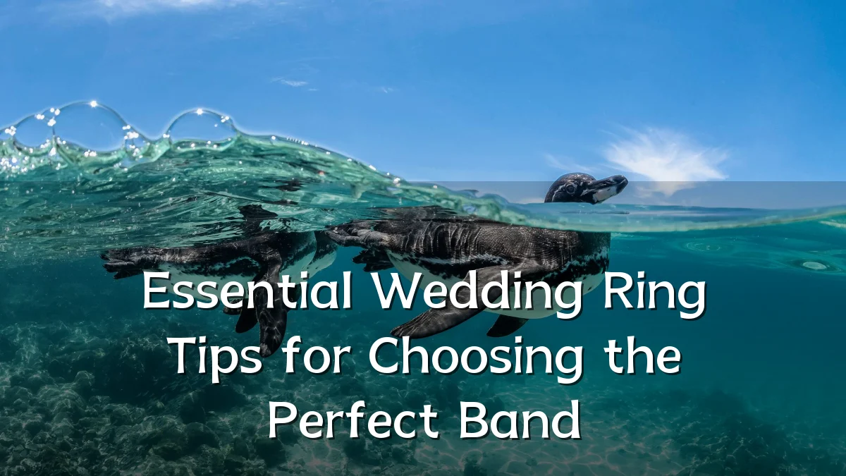 Essential Wedding Ring Tips for Choosing the Perfect Band