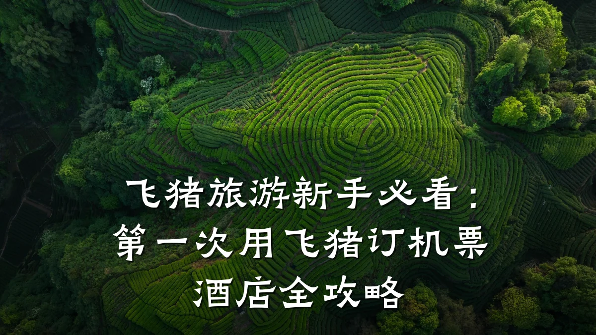 飞猪旅游新手必看:第一次用飞猪订机票酒店全攻略