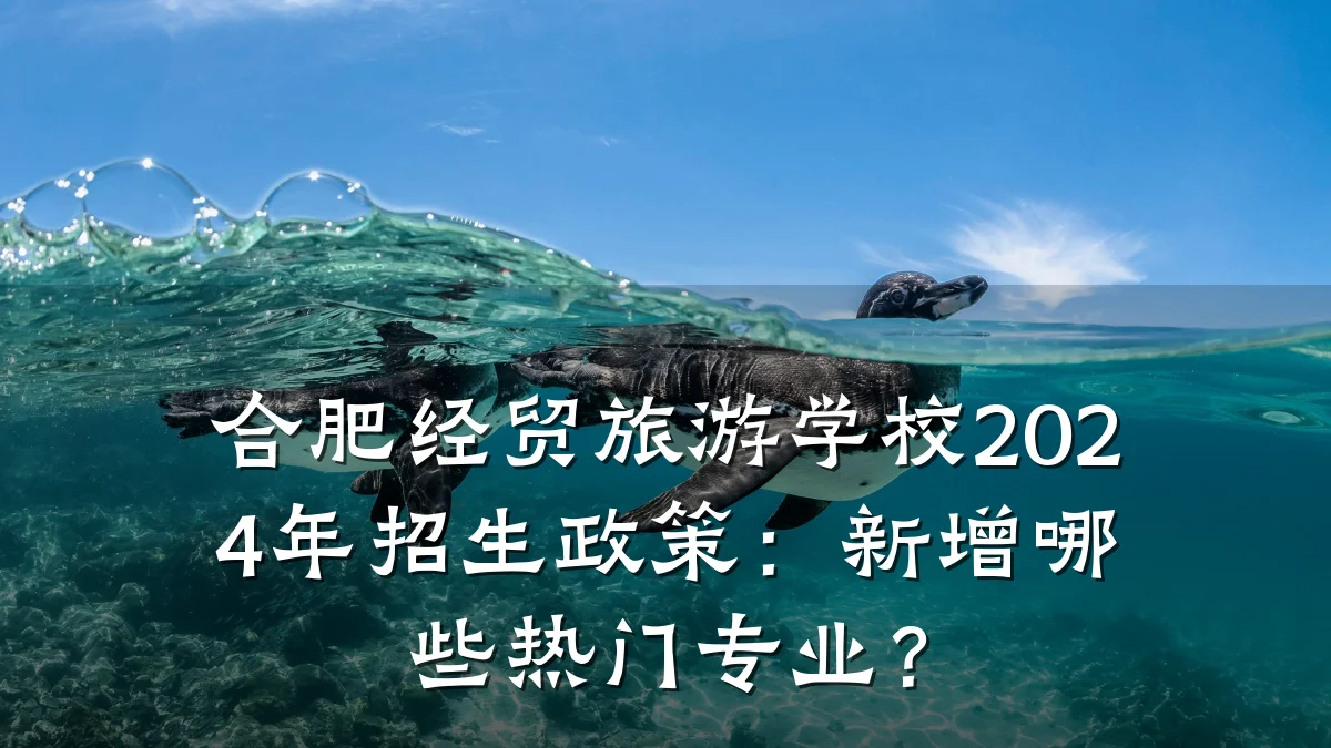 合肥经贸旅游学校2024年招生政策:新增哪些热门专业?