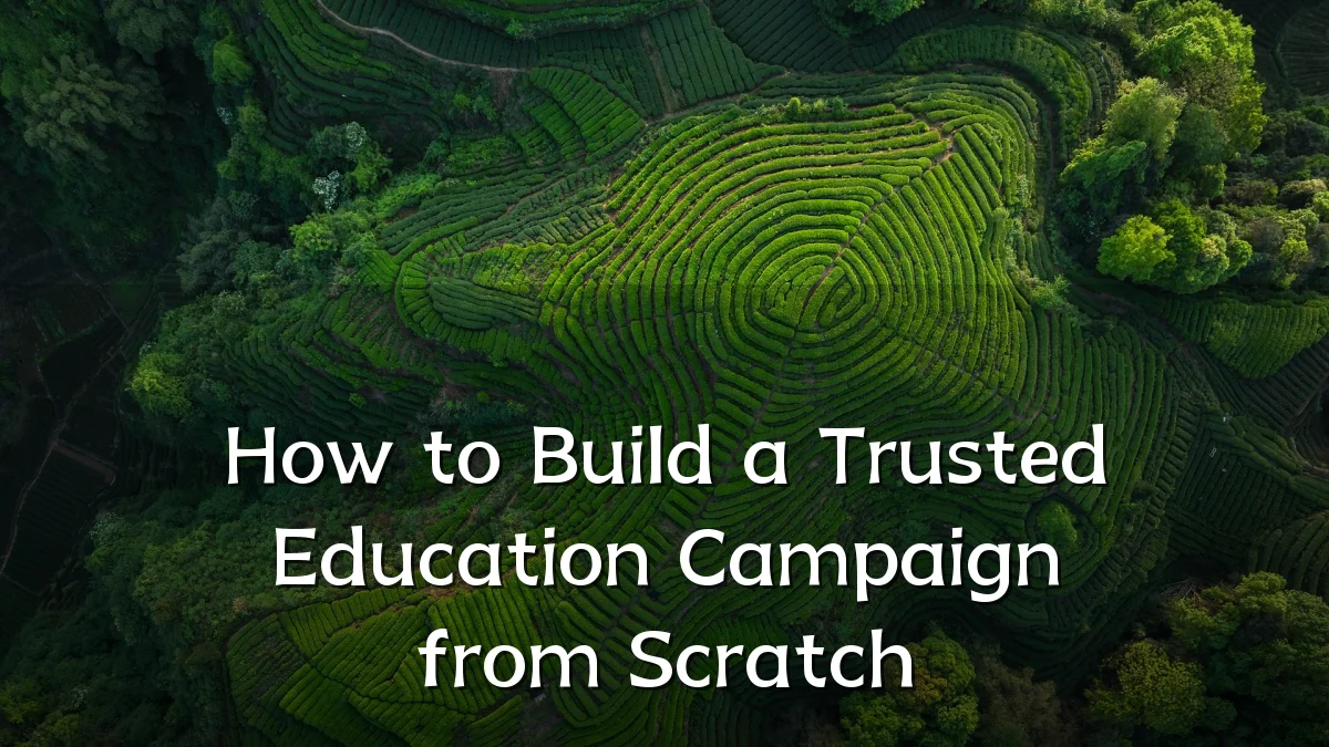How to Build a Trusted Education Campaign from Scratch