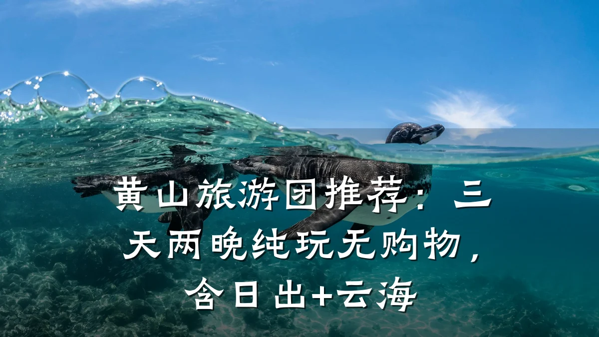 黄山旅游团推荐:三天两晚纯玩无购物,含日出+云海