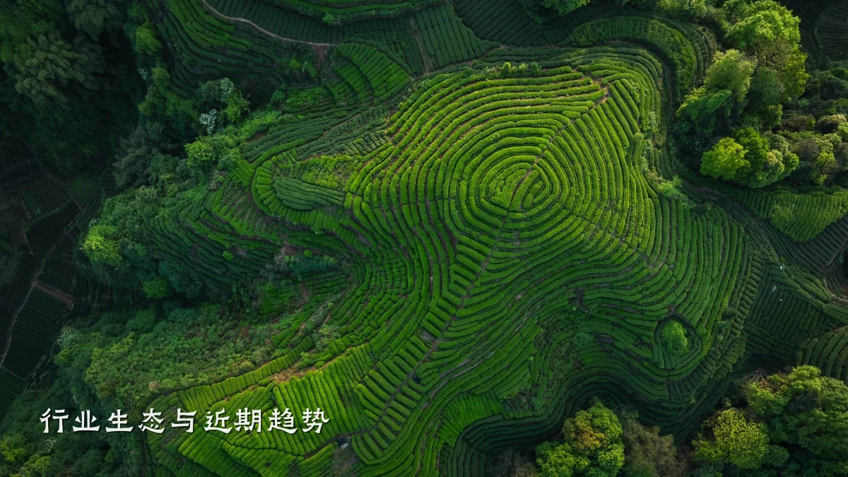 行业生态与近期趋势