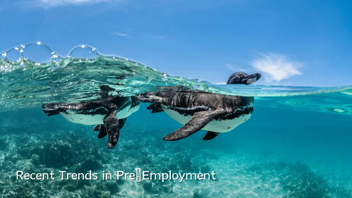 Recent Trends in Pre‑Employment
