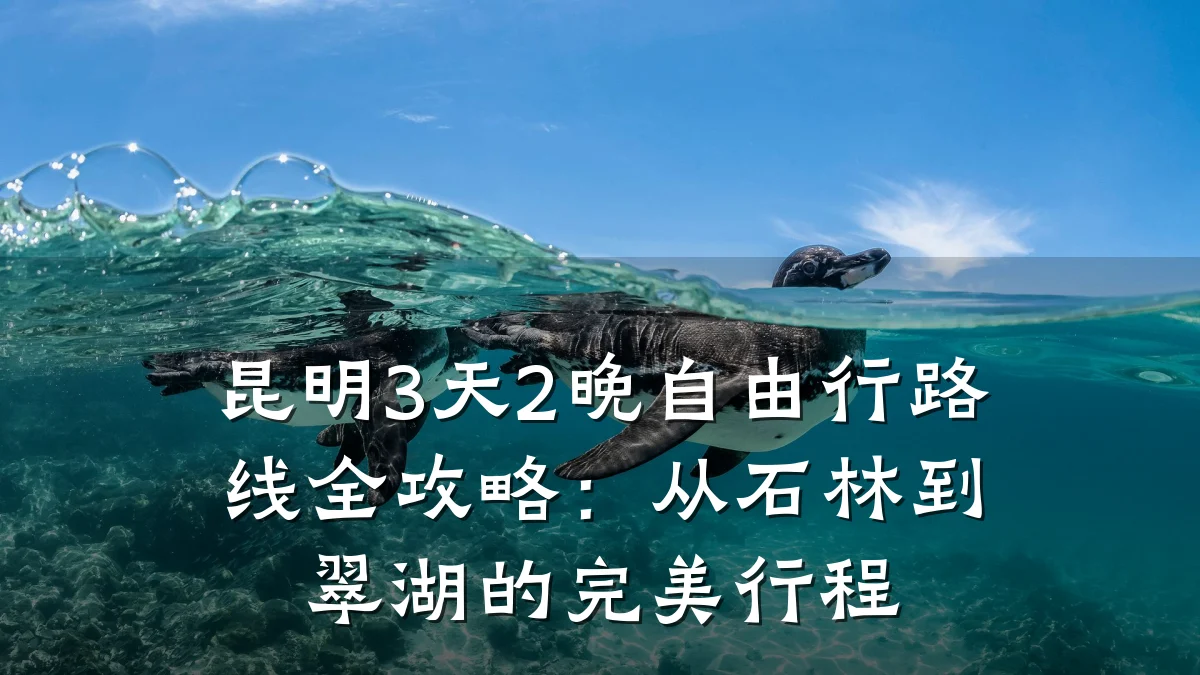 昆明3天2晚自由行路线全攻略:从石林到翠湖的完美行程