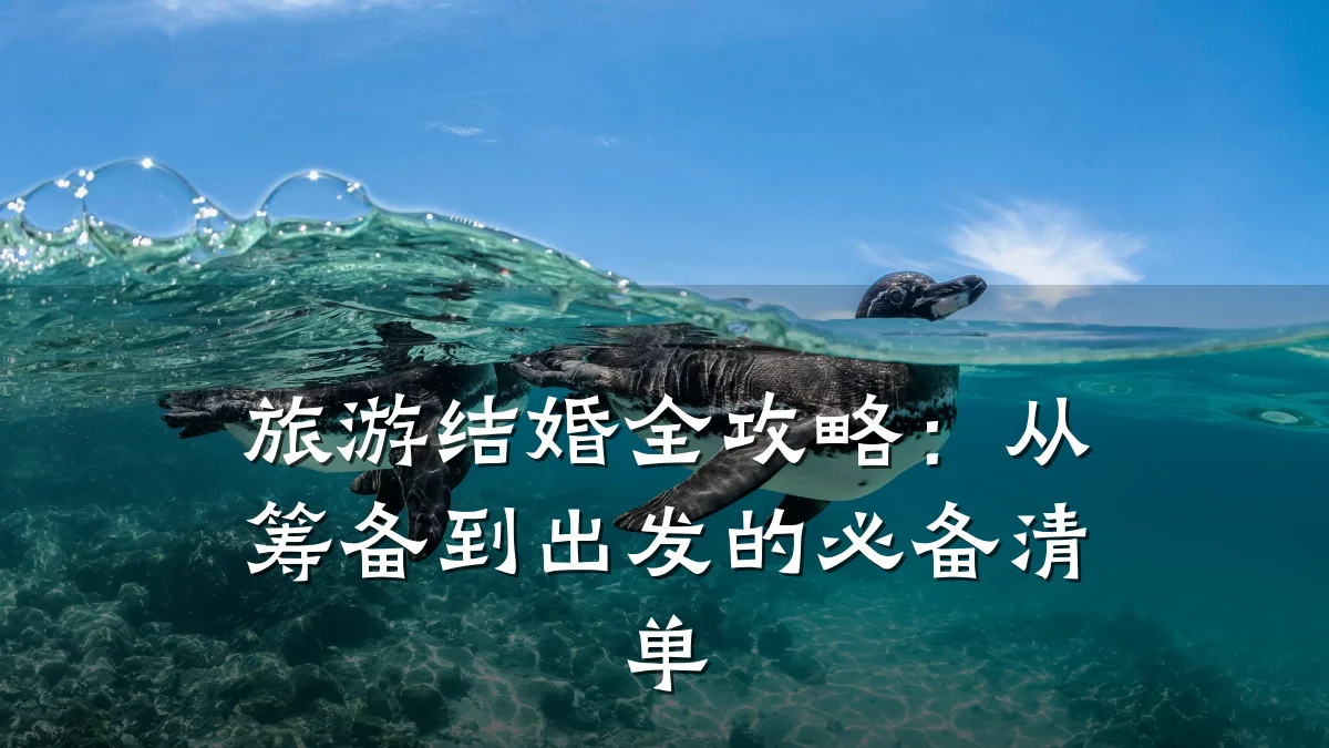 旅游结婚全攻略:从筹备到出发的必备清单