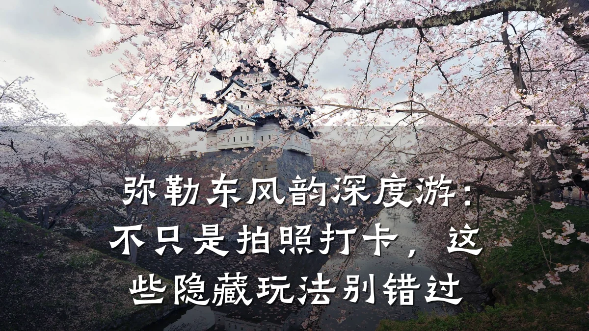 弥勒东风韵深度游:不只是拍照打卡,这些隐藏玩法别错过