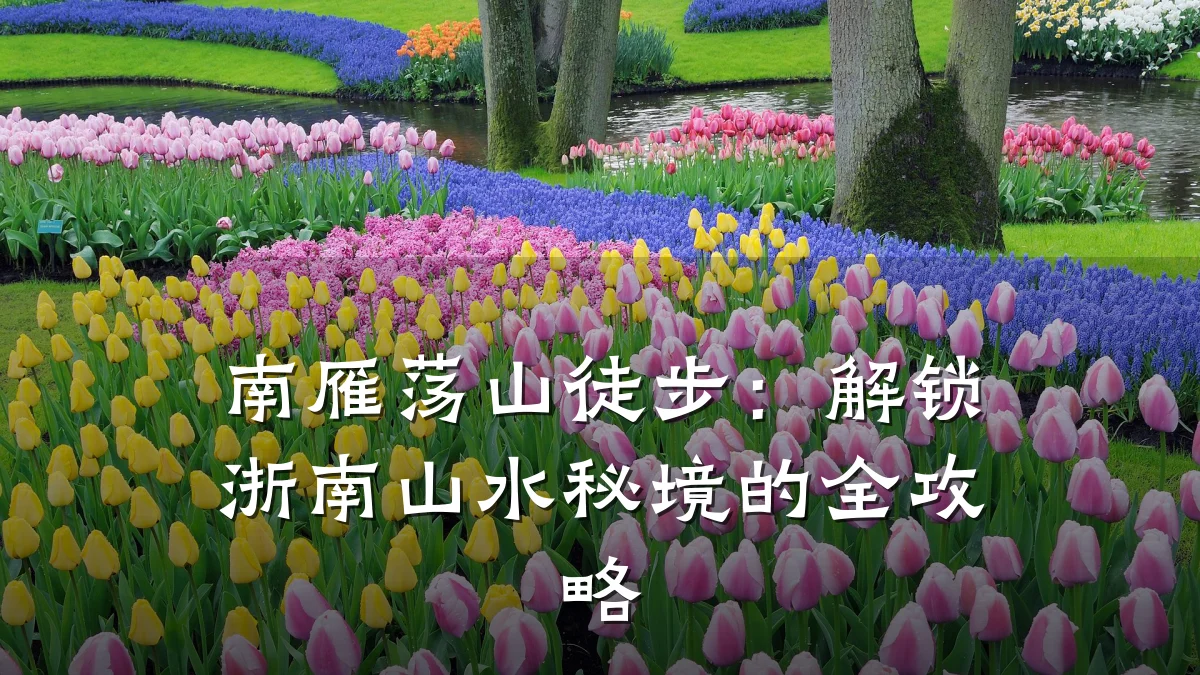 南雁荡山徒步:解锁浙南山水秘境的全攻略