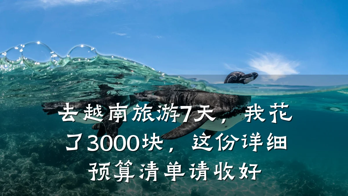 去越南旅游7天,我花了3000块,这份详细预算清单请收好