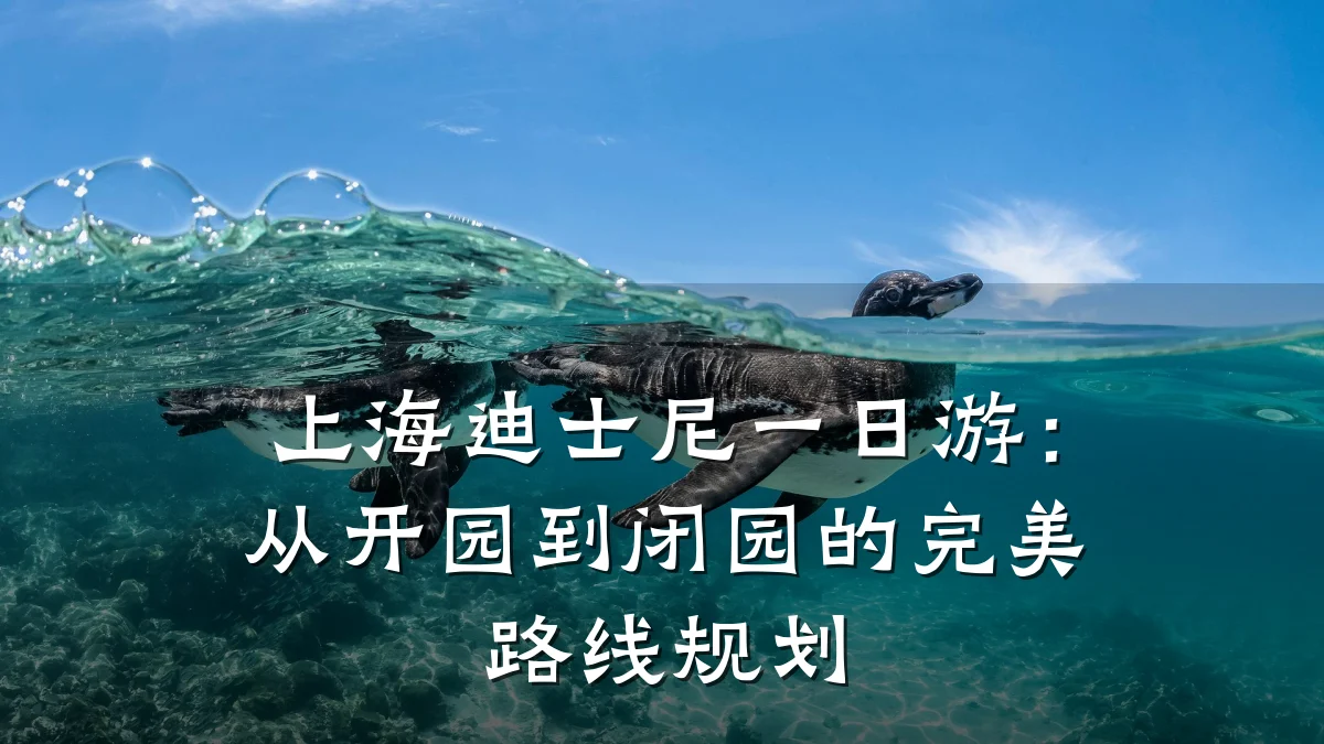 上海迪士尼一日游：从开园到闭园的完美路线规划