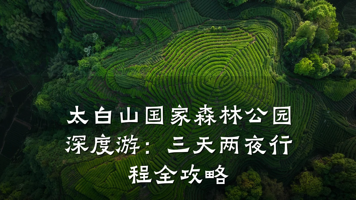太白山国家森林公园深度游:三天两夜行程全攻略