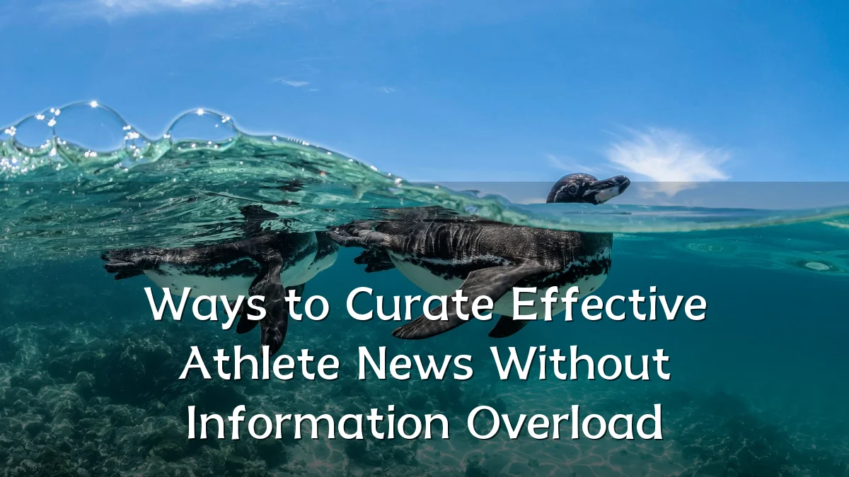 Ways to Curate Effective Athlete News Without Information Overload