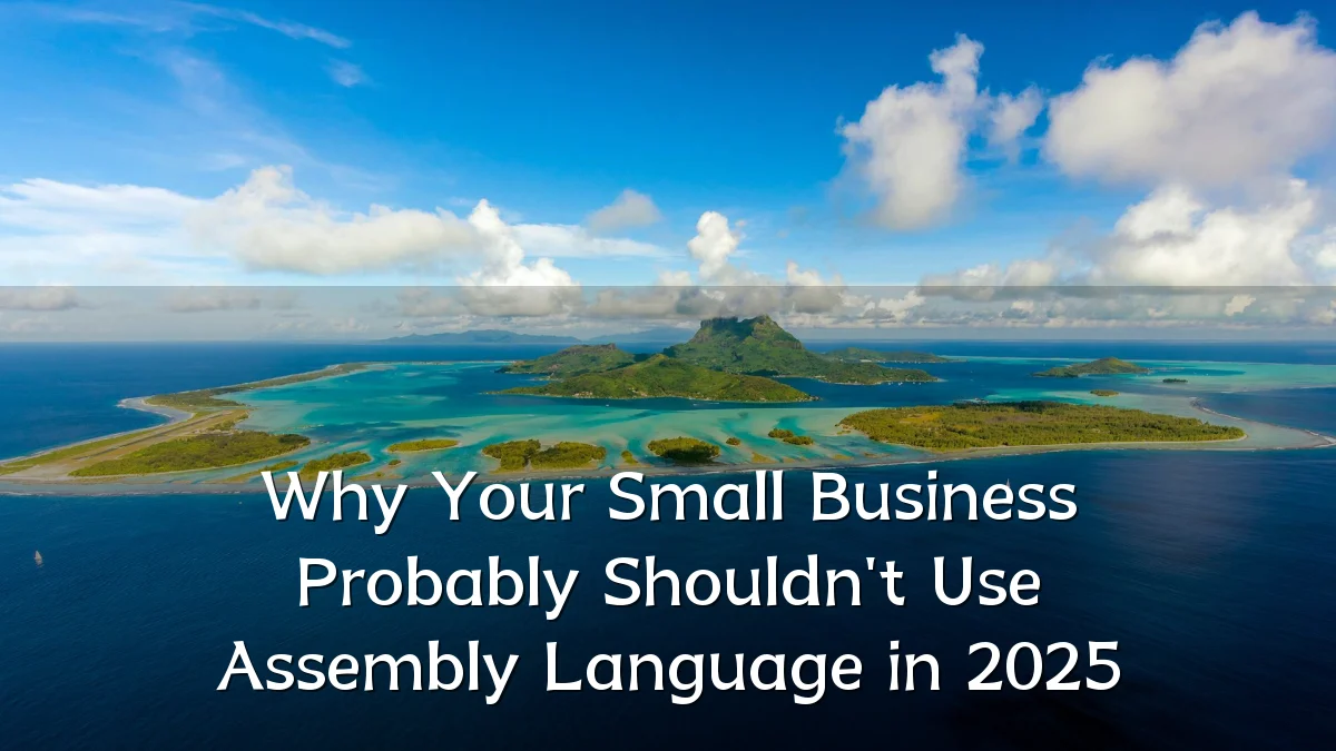 Why Your Small Business Probably Shouldn't Use Assembly Language in 2025