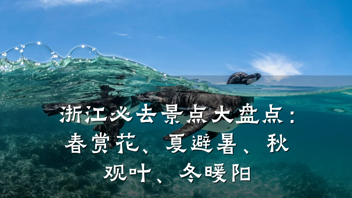 浙江必去景点大盘点:春赏花、夏避暑、秋观叶、冬暖阳