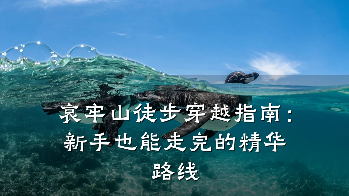 哀牢山徒步穿越指南:新手也能走完的精华路线