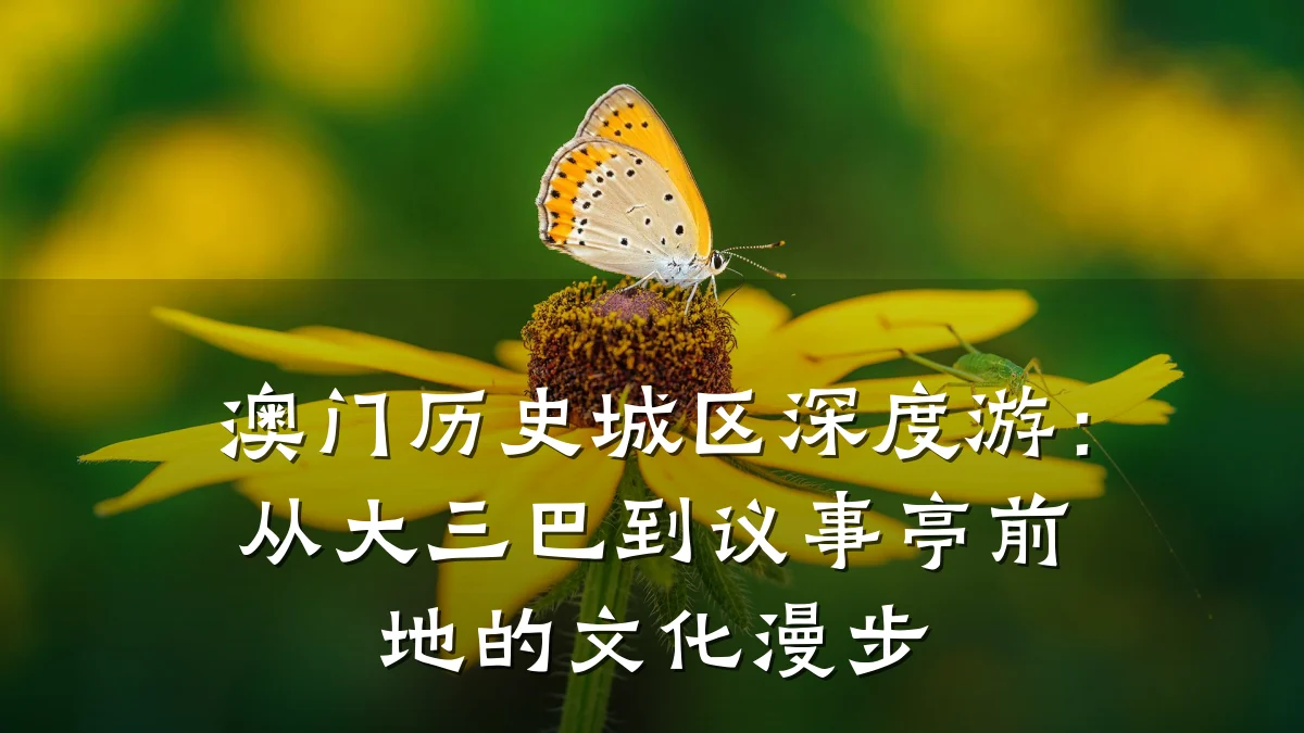 澳门历史城区深度游:从大三巴到议事亭前地的文化漫步