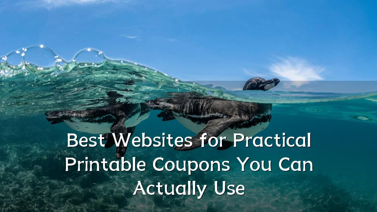Best Websites for Practical Printable Coupons You Can Actually Use
