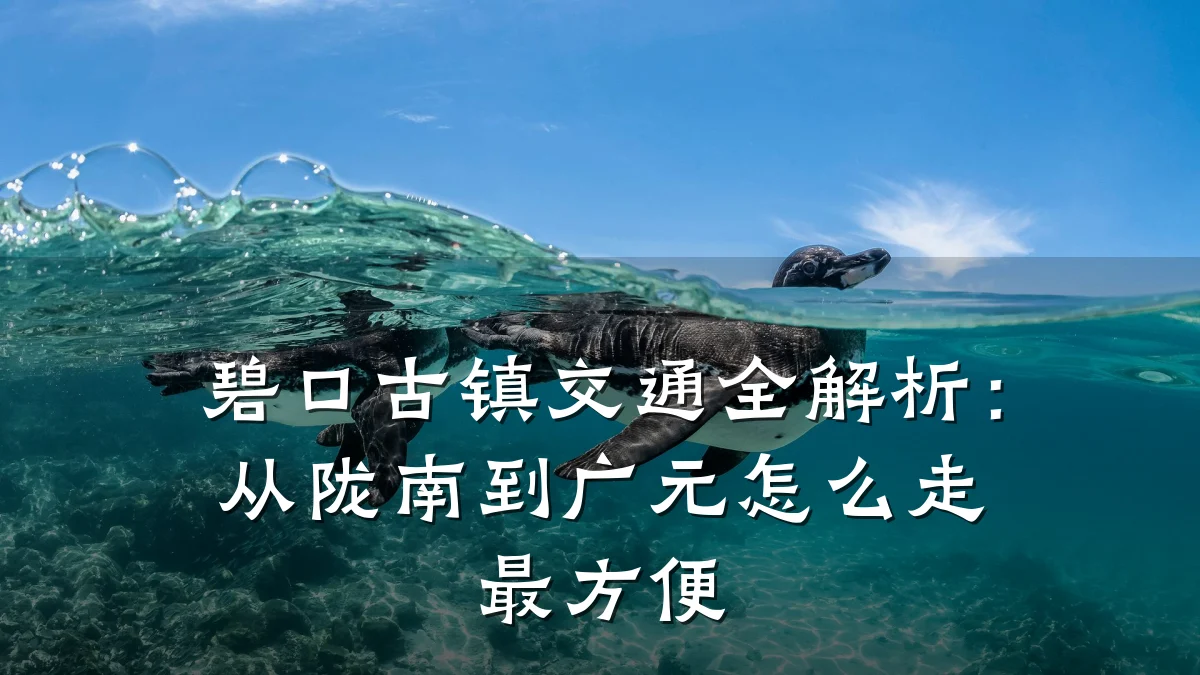 碧口古镇交通全解析：从陇南到广元怎么走最方便