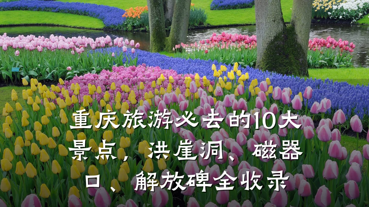 重庆旅游必去的10大景点，洪崖洞、磁器口、解放碑全收录