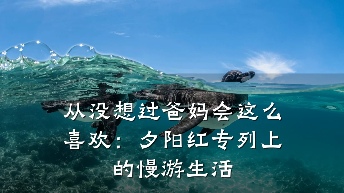 从没想过爸妈会这么喜欢:夕阳红专列上的慢游生活