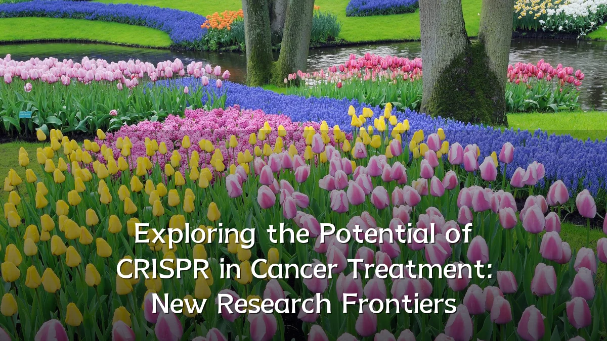 Exploring the Potential of CRISPR in Cancer Treatment: New Research Frontiers