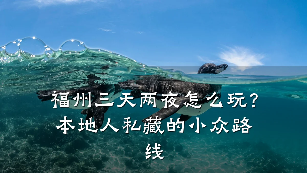 福州三天两夜怎么玩?本地人私藏的小众路线