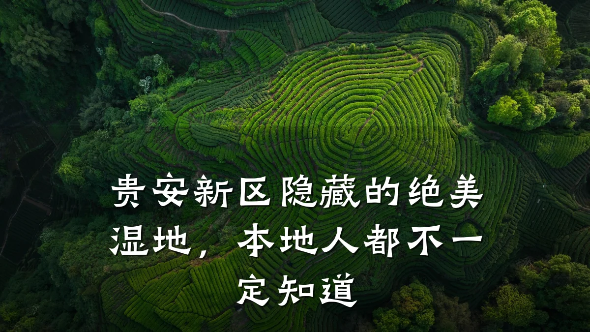 贵安新区隐藏的绝美湿地,本地人都不一定知道