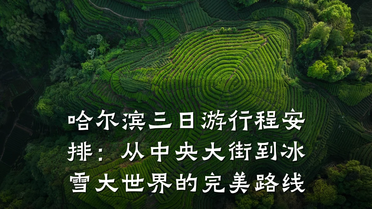 哈尔滨三日游行程安排:从中央大街到冰雪大世界的完美路线