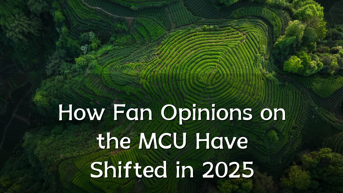 How Fan Opinions on the MCU Have Shifted in 2025