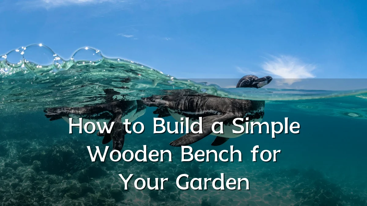 How to Build a Simple Wooden Bench for Your Garden
