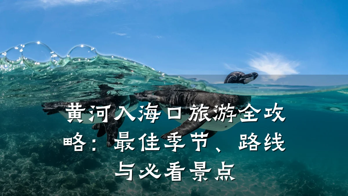 黄河入海口旅游全攻略：最佳季节、路线与必看景点