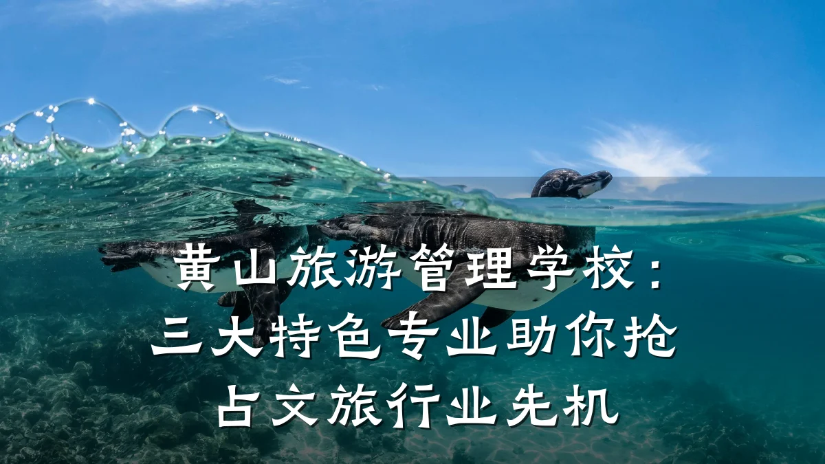 黄山旅游管理学校:三大特色专业助你抢占文旅行业先机