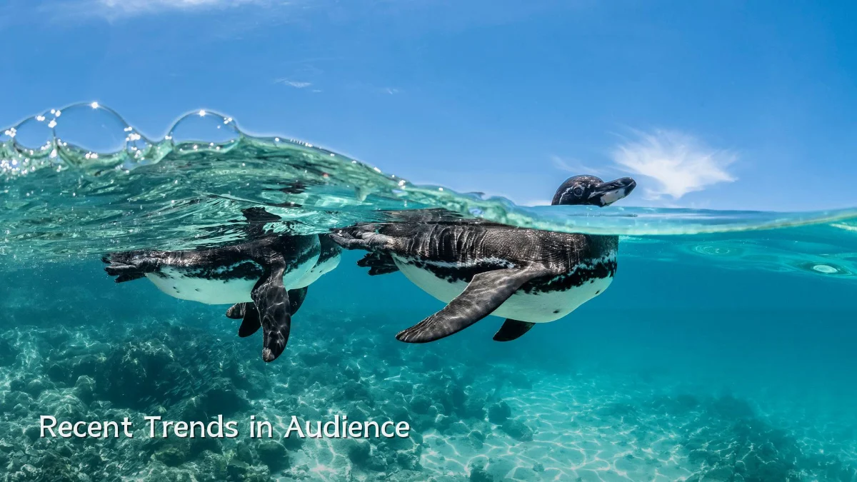 Recent Trends in Audience