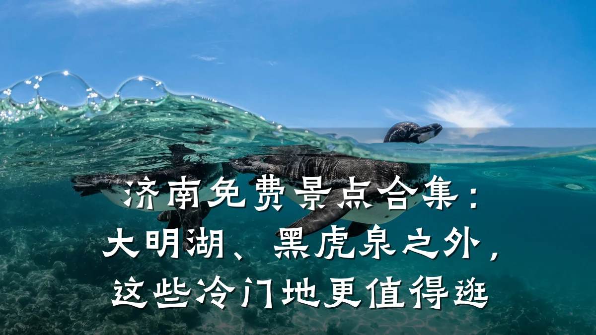 济南免费景点合集:大明湖、黑虎泉之外,这些冷门地更值得逛