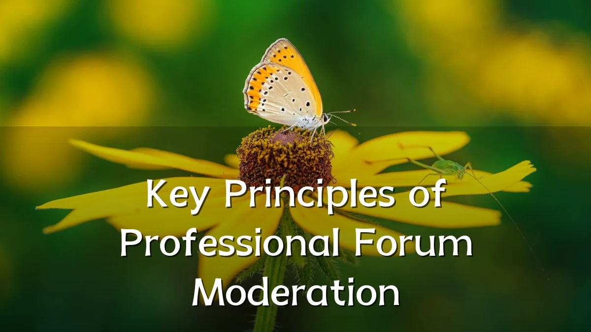 Key Principles of Professional Forum Moderation