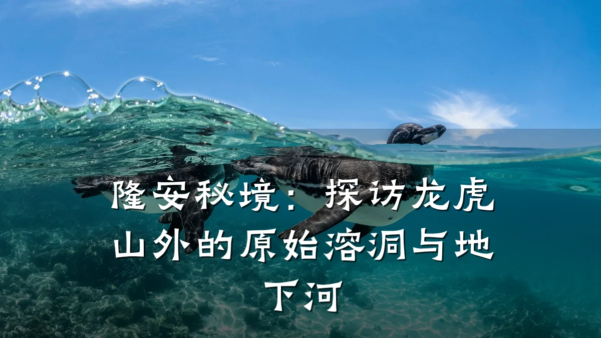 隆安秘境：探访龙虎山外的原始溶洞与地下河