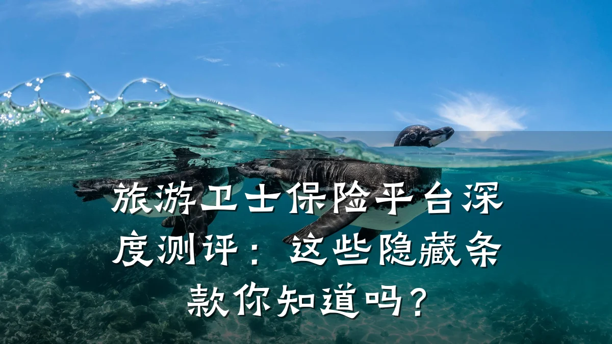 旅游卫士保险平台深度测评:这些隐藏条款你知道吗?