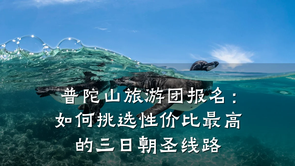 普陀山旅游团报名:如何挑选性价比最高的三日朝圣线路