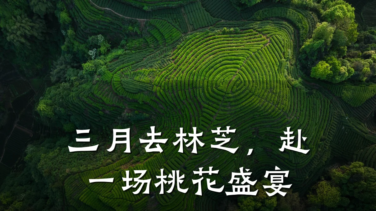 三月去林芝,赴一场桃花盛宴